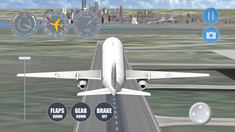 New York Flight Simulator screenshot-4