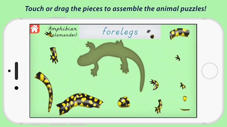 Parts Of Animals - Vertebrates screenshot-4