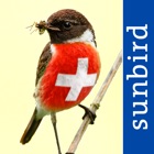 All birds Switzerland - a complete field guide to all the birds ever recorded in Switzerland