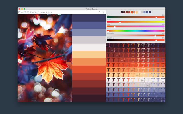 ‎Color Palette from Image Screenshot