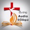 With this app we want you to build up a habit of listening to The Word of God every day in your lives and to experience the power which can transform you