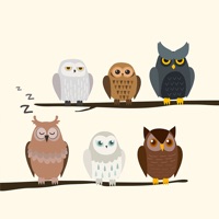 All About Owl's pour PC