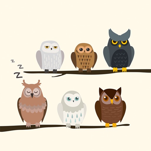 All About Owl's