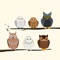 This app is for the user who loves Owls