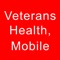 Icon Veterans Health Mobile