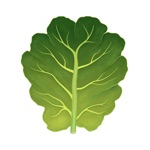 Ingredients Healthy Recipes