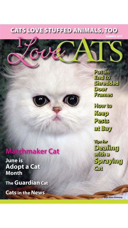 I Love Cats Magazine