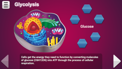 How to cancel & delete Biology Cellular Respiration P from iphone & ipad 3