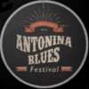 Antonina Blues Festival