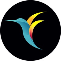 bebird Pro pour PC