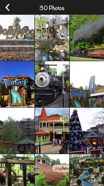 App to Dollywood Theme Park screenshot-3