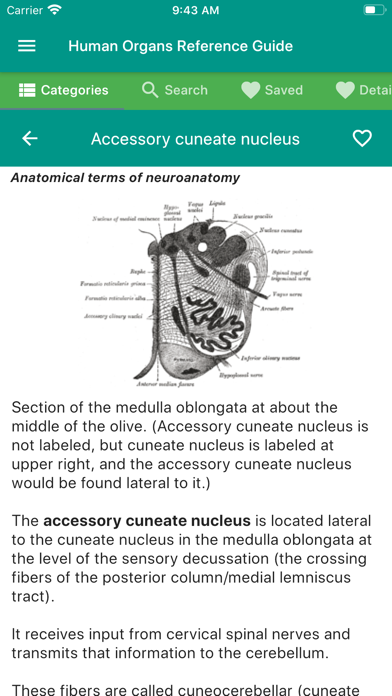 How to cancel & delete Human Organs Anatomy Reference from iphone & ipad 4