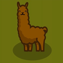 Llama Leap