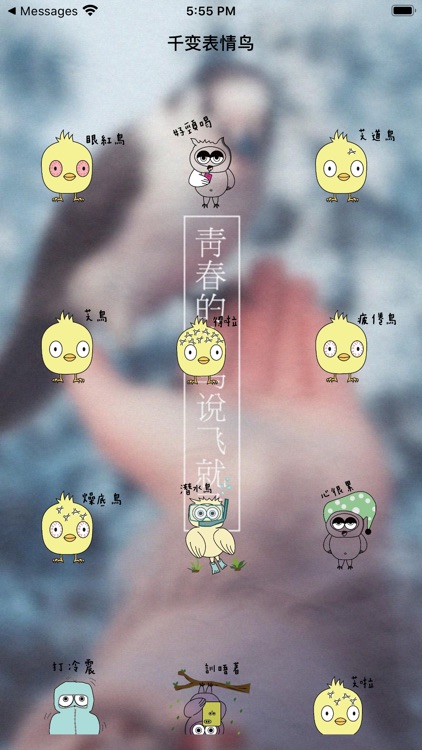千变表情鸟
