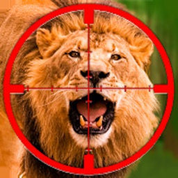 Jungle Lion Hunting Operation