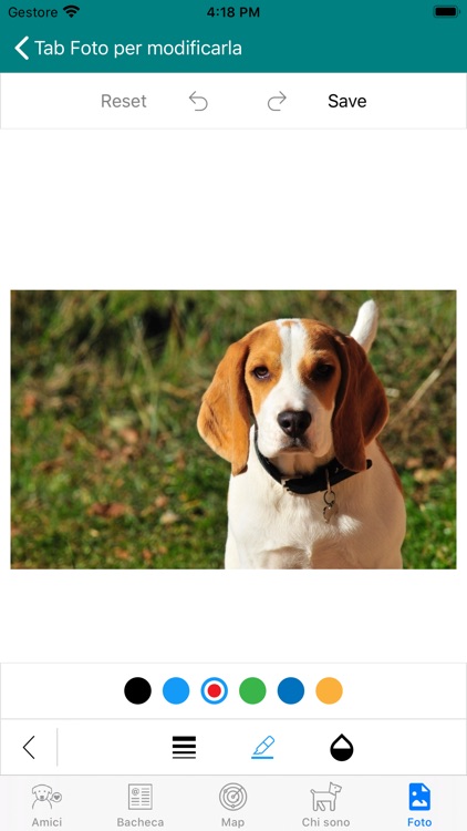 ThinkDog.eu screenshot-9
