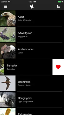 Game screenshot Greifvögel apk