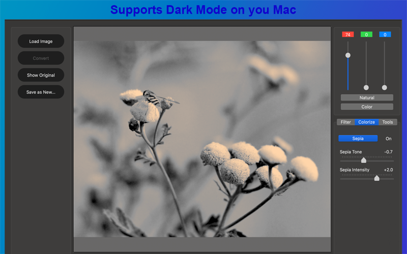 Silver B&amp;W Photo Converter thumbnail 4