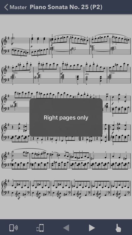 Beethoven: Piano Sonatas IV screenshot-4