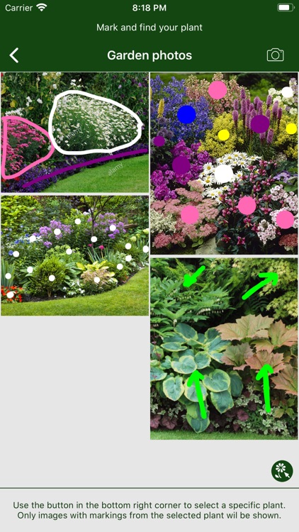 Hortus - Plants in your garden