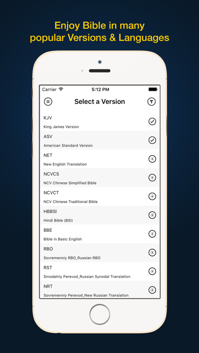 How to cancel & delete Bible Pronto - Holy Bible App from iphone & ipad 4