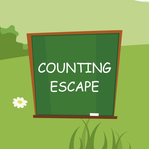 Counting Escape