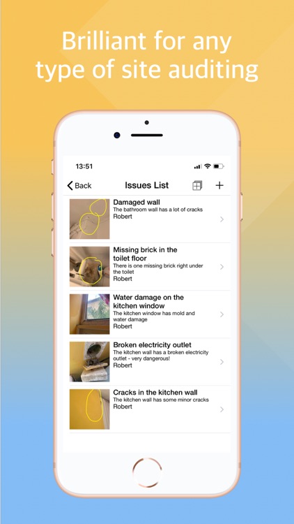 Audit Anything Pro screenshot-3