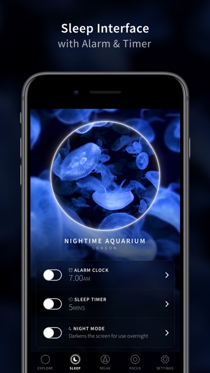 Portal - Sleep, Relax & Focus screenshot-5