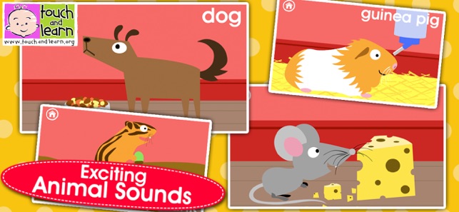 Peekaboo Pets - Who's Hiding?(圖3)-速報App