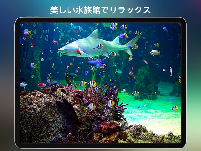 ライブ壁紙 ダイナミックな背景の天気予報 水族館と暖炉 をapp Storeで