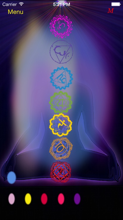 Chakra aura view