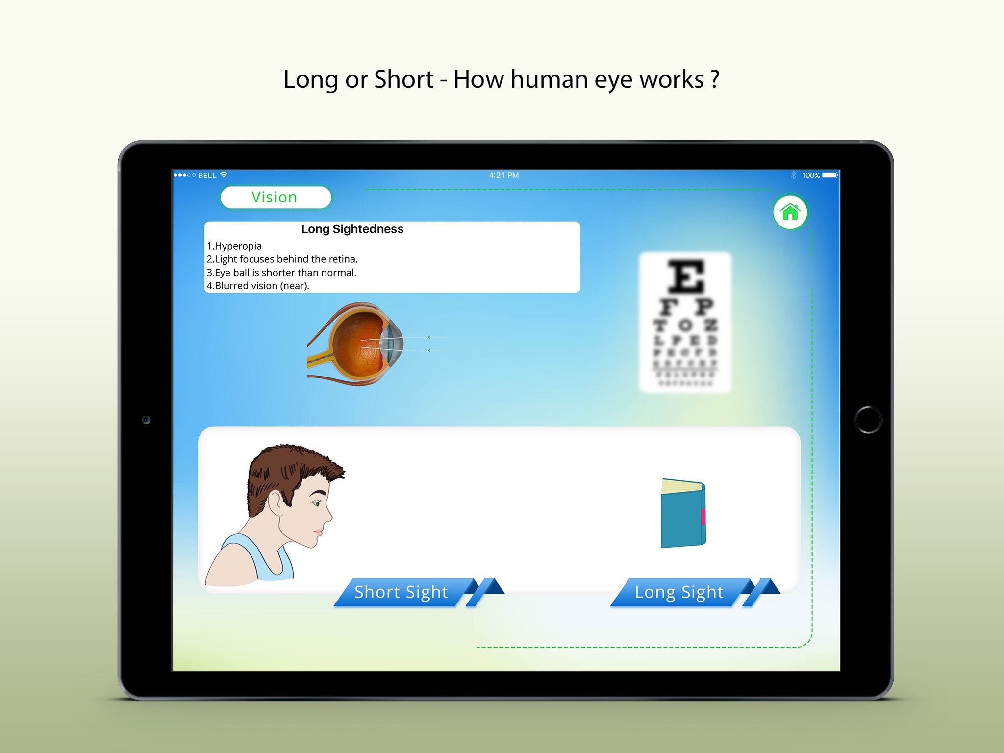 Human Eye Receptors 2 screenshot 4