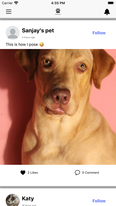 PetsMaloo 1