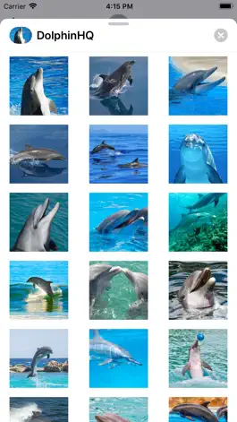 Game screenshot Dolphin HQ - High Quality Pics apk