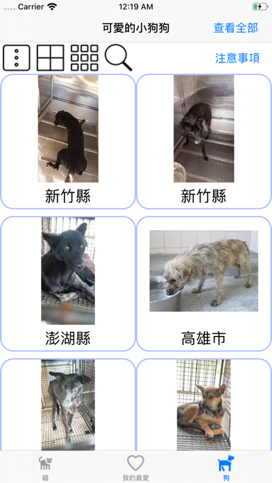 動物想家 screenshot 2