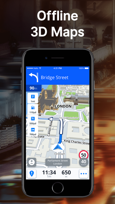 Sygic: GPS Navigation, Maps, Traffic, Speed Cameras Screenshot 3