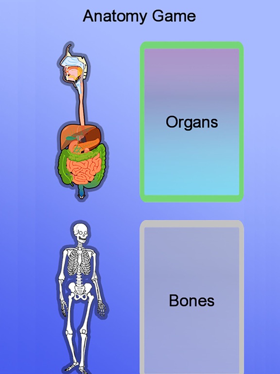 Взломанная версия anatomy