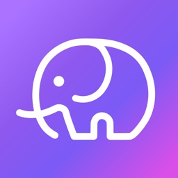 Slon – Q&A social network