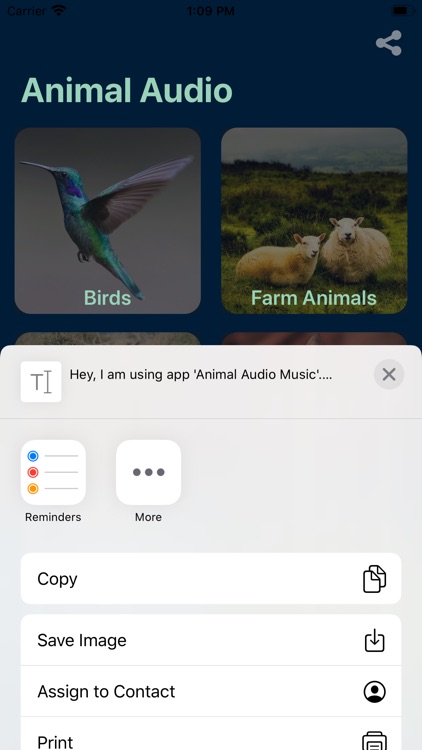 Animal Audio Music screenshot-5