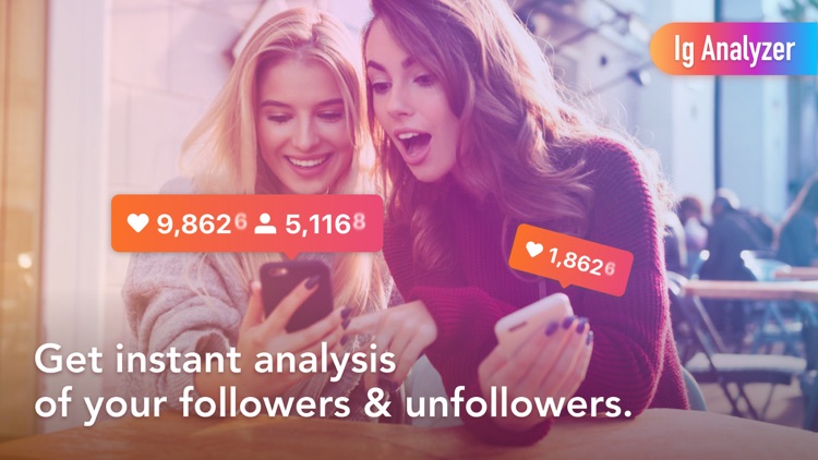 Ig Analyzer: Follower Analysis