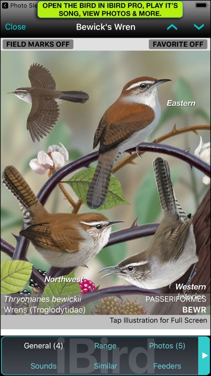iBird Photo Sleuth screenshot-7
