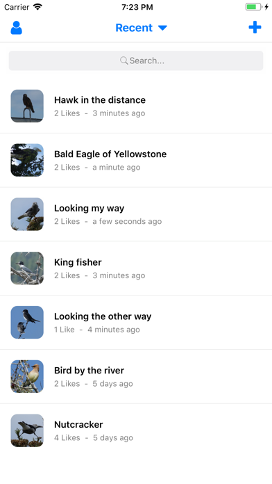 Birds by Mini App Maker screenshot 2