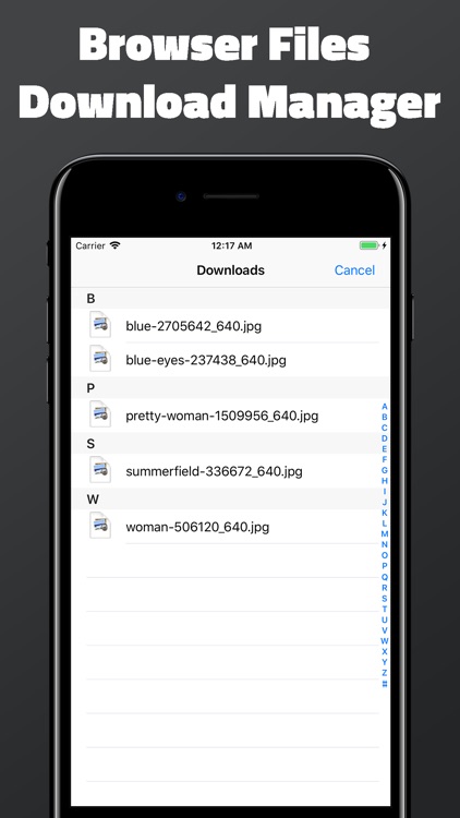 Private Web Browser Incognito screenshot-4