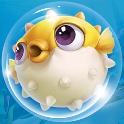 Cute Fish Bubble