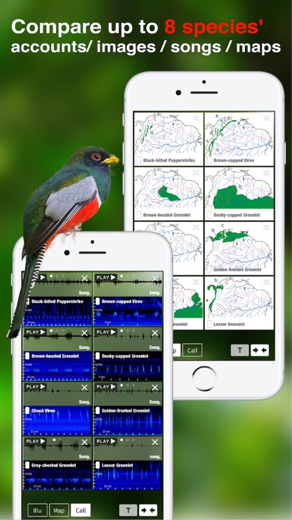 All Birds Colombia field guide screenshot-7