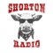 Radio Shorton es una radio de formato simple orientada a difundir MÚSICA puntualmente de Rock y ARTE en diversas formas