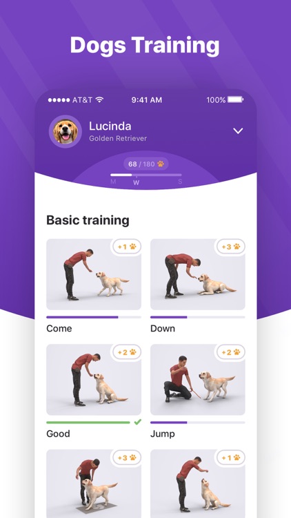 Dog walking & whistle training
