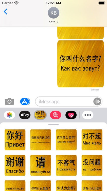 Chinese Russian Sticker screenshot-5