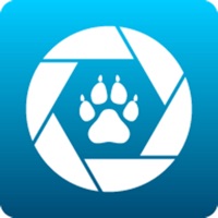 Maginon WildlifeCam Wifi pour PC