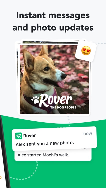 Rover—Dog Sitters & Walkers